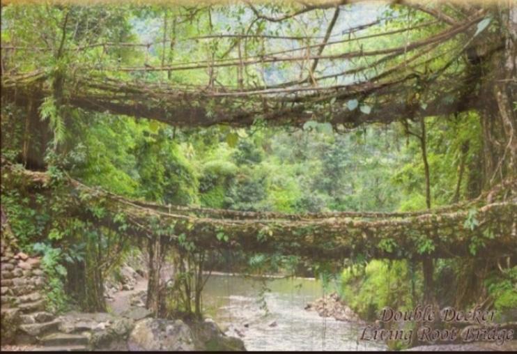Living Roots Lodge Cherrapunji Exterior foto