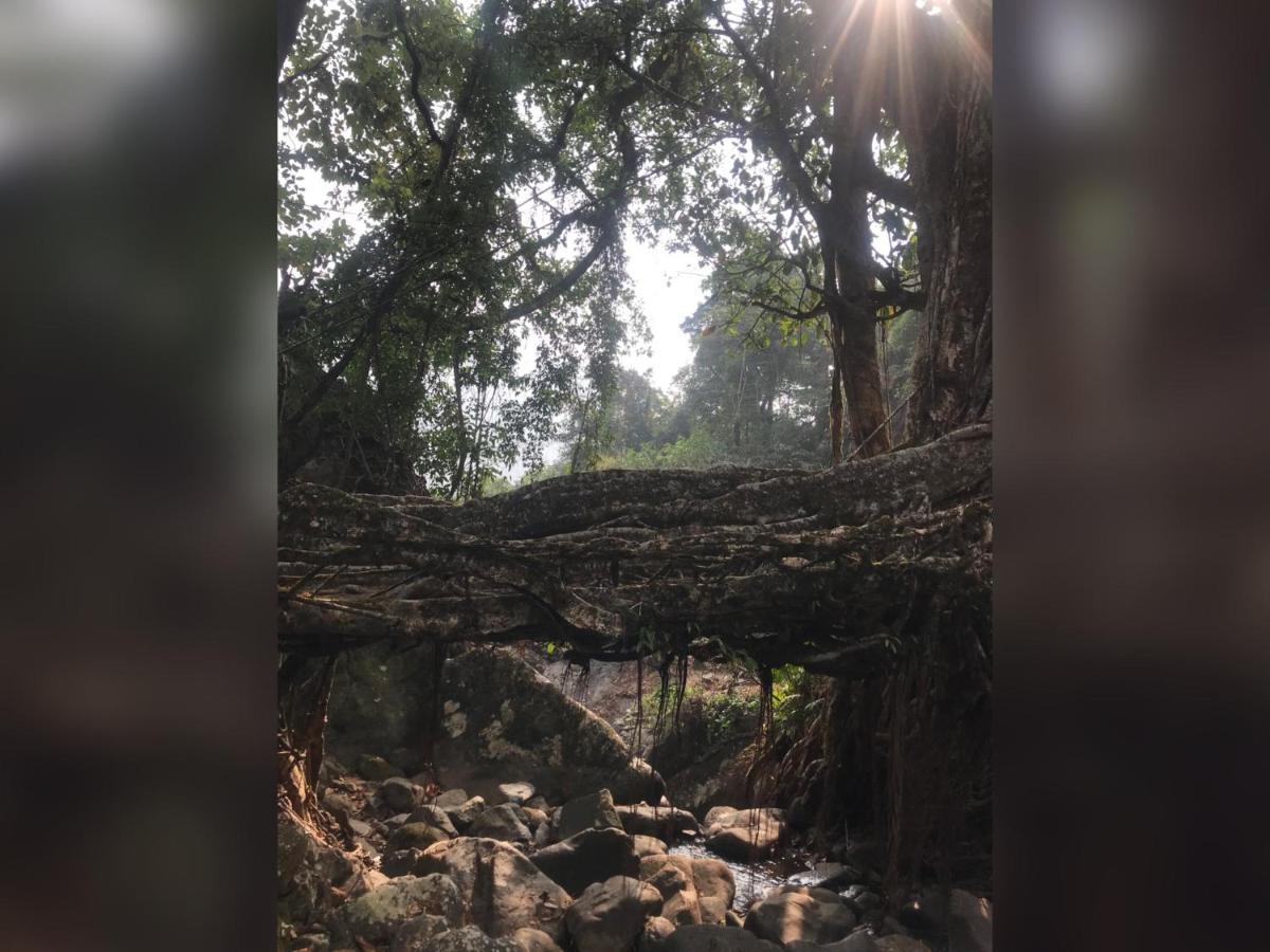 Living Roots Lodge Cherrapunji Exterior foto