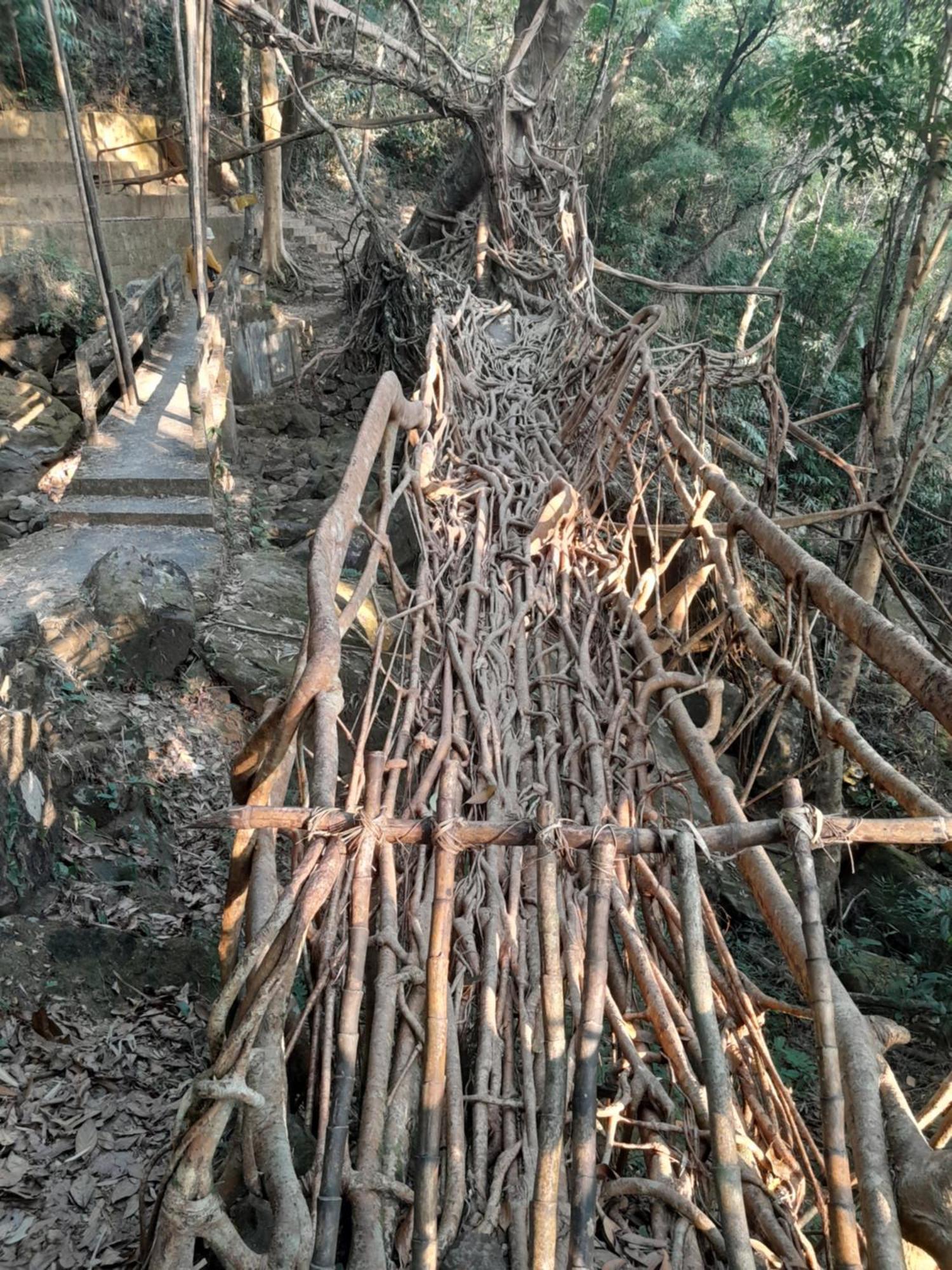 Living Roots Lodge Cherrapunji Exterior foto